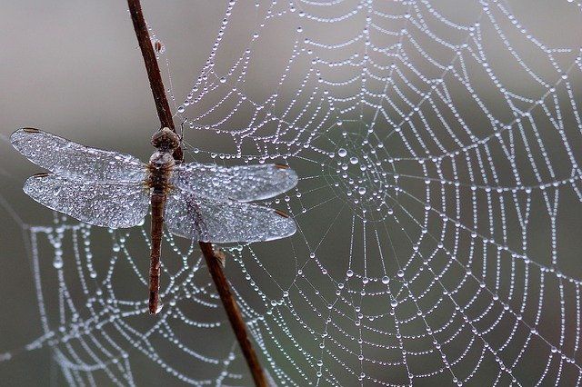 Oh what a tangled web we weave , when we first practice to deceive. Sir Walter Scott